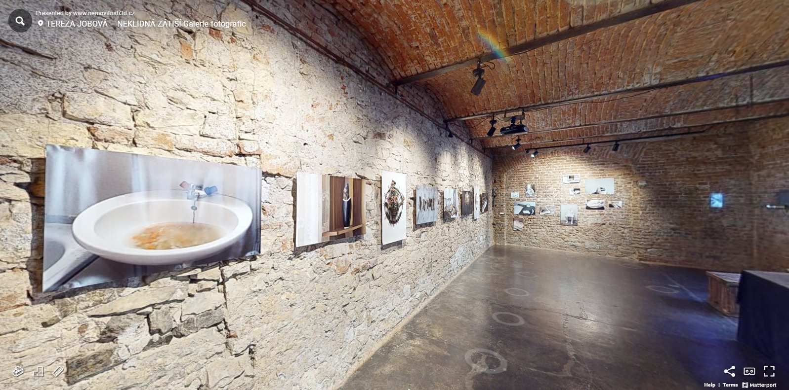 Virtuální prohlídka výstavy Neklidná zátiší Terezy Jobové v Galerii Fotografic